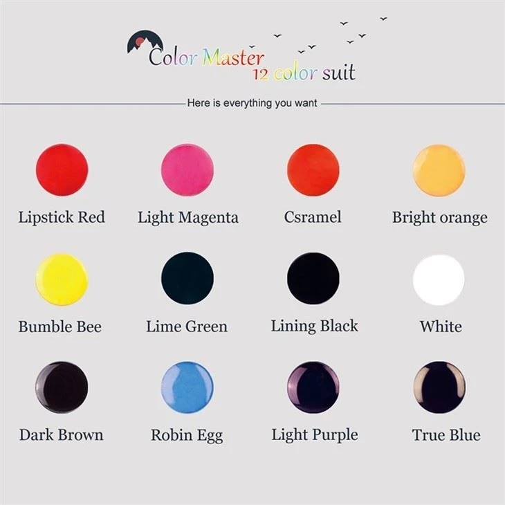 Tattoo Ink Set